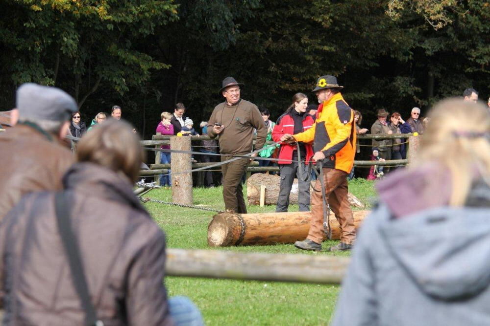 Fuhrmannstag Pliezhausen 2013