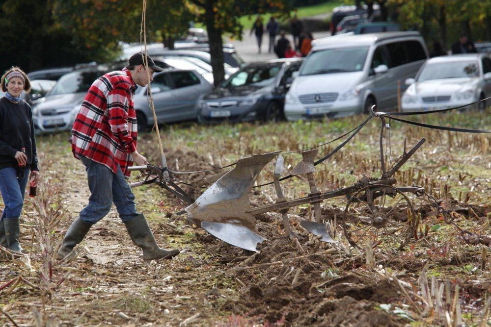 Fuhrmannstag Pliezhausen 2013