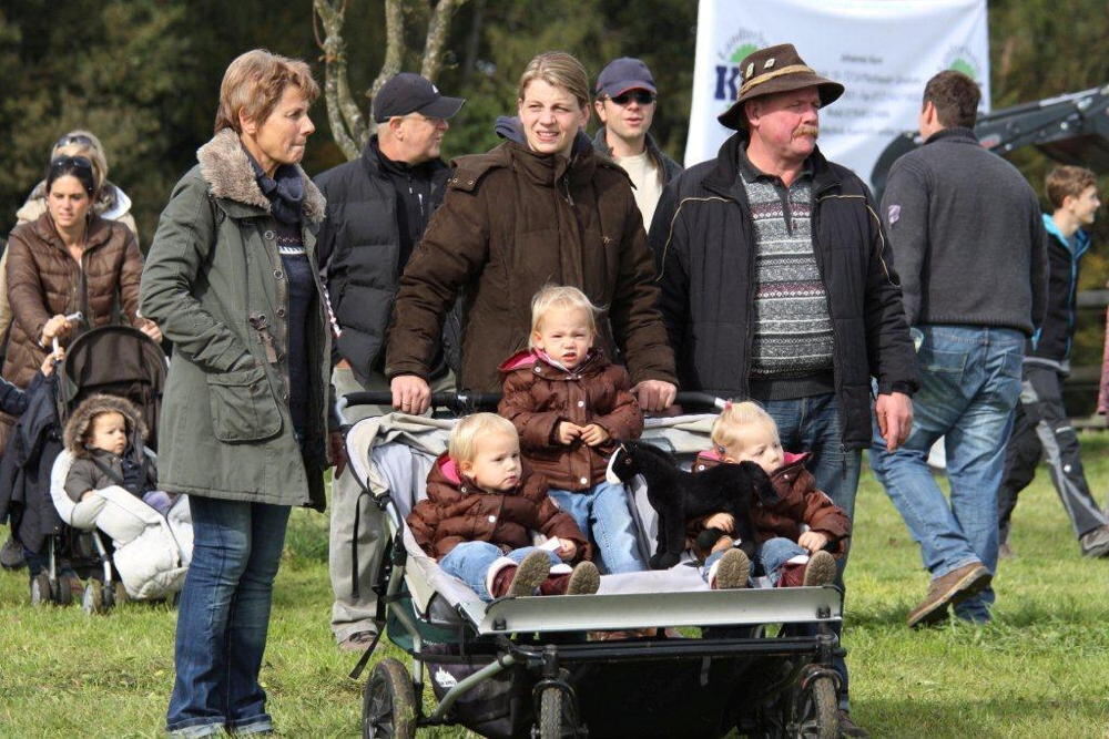 Fuhrmannstag Pliezhausen 2013