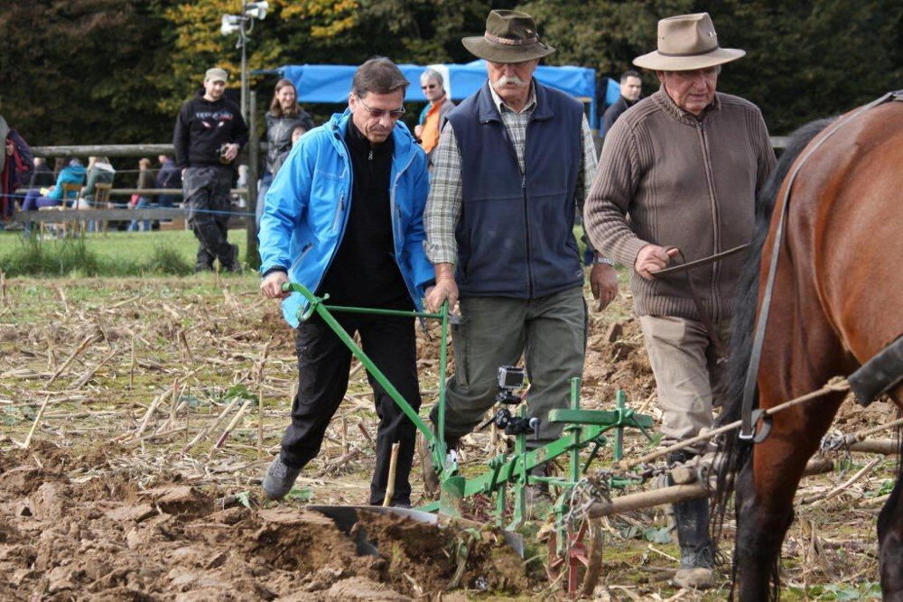 Fuhrmannstag Pliezhausen 2013