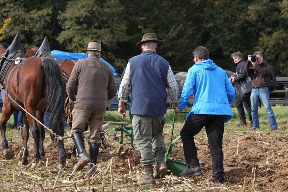 Fuhrmannstag Pliezhausen 2013