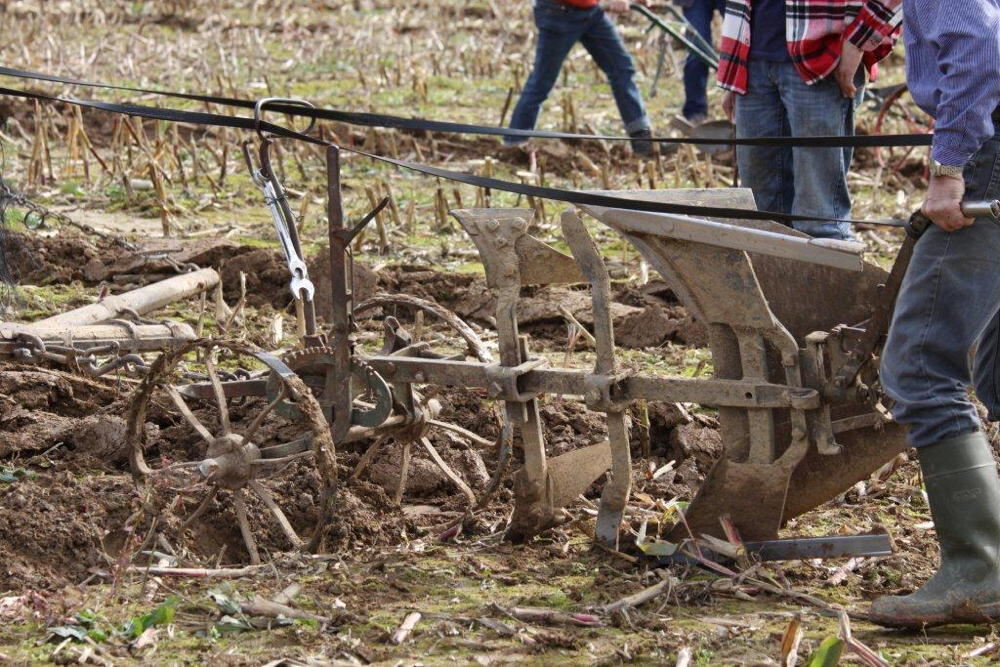 Fuhrmannstag Pliezhausen 2013