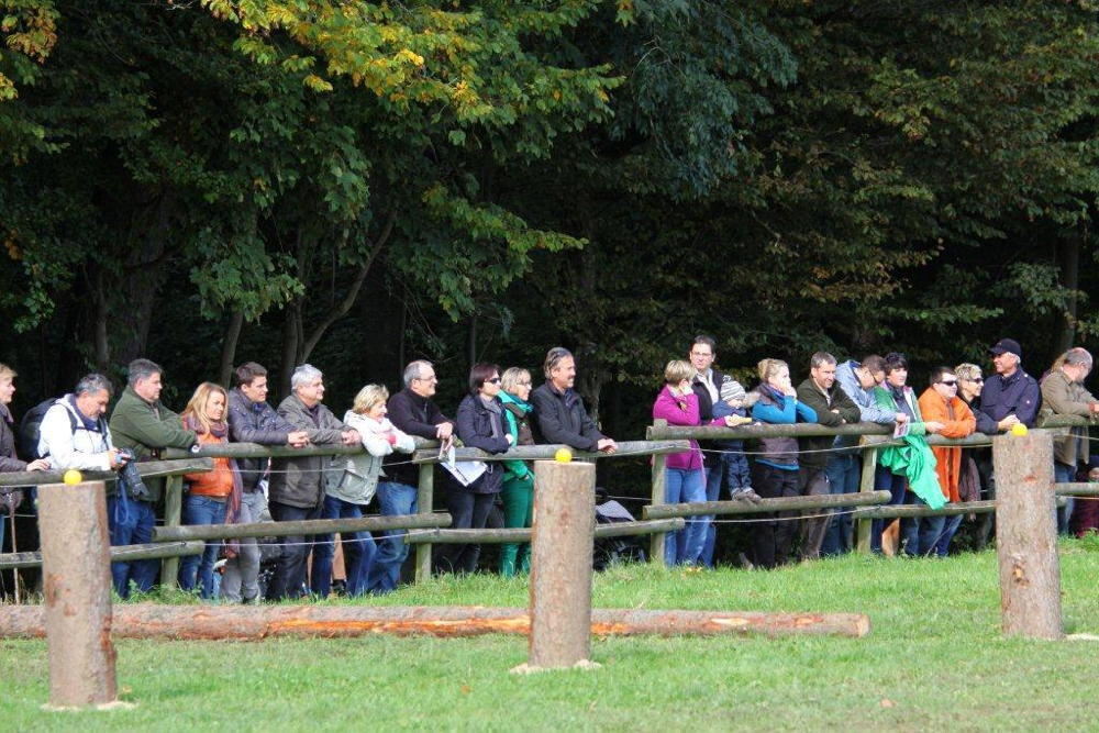 Fuhrmannstag Pliezhausen 2013