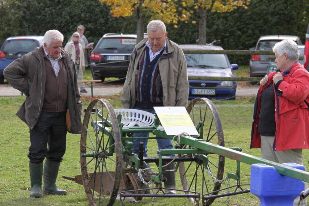 Fuhrmannstag Pliezhausen 2013