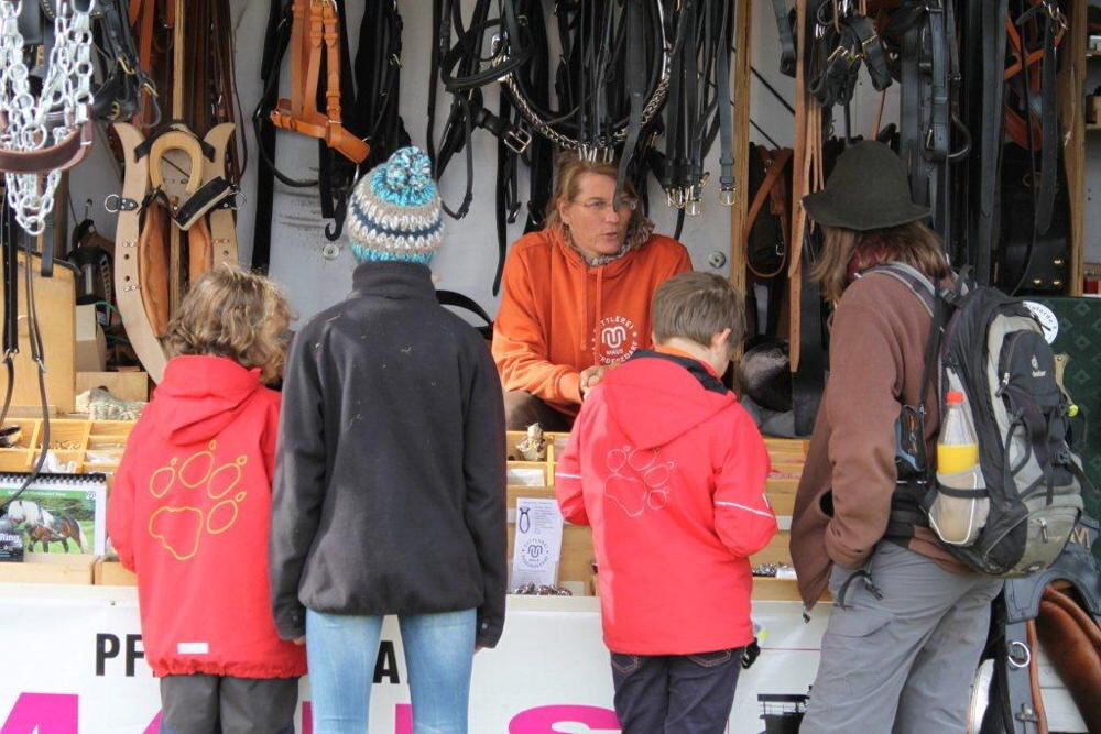 Fuhrmannstag Pliezhausen 2013