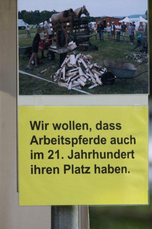 Fuhrmannstag Pliezhausen 2013