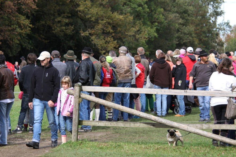 Fuhrmannstag Pliezhausen 2013 Fuhrmannstag Pliezhausen 2013