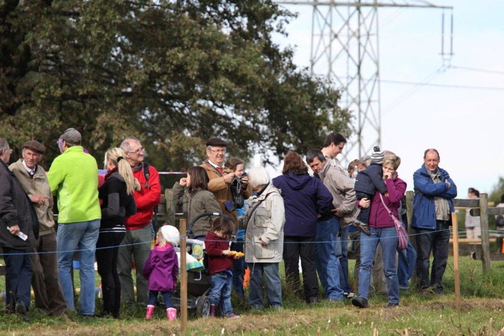 Fuhrmannstag Pliezhausen 2013