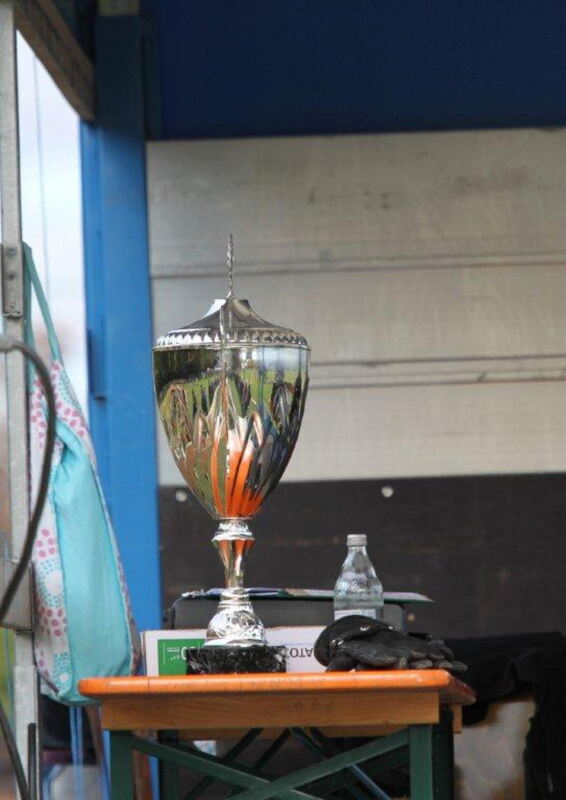 Fuhrmannstag Pliezhausen 2013