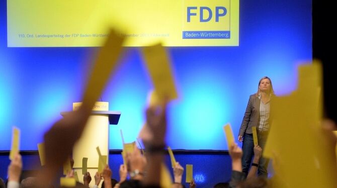 Eine Abstimmung beim FDP Landesparteitag in Filderstadt.