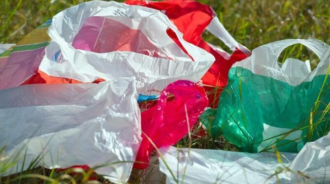 EU-Spitzenreiter beim Plastiktütenverbrauch sind vor allem osteuropäische Staaten sowie Portugal. Foto: Patrick Pleul
