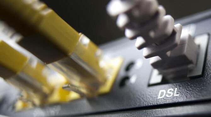 Netzwerkkabel an einem Router.