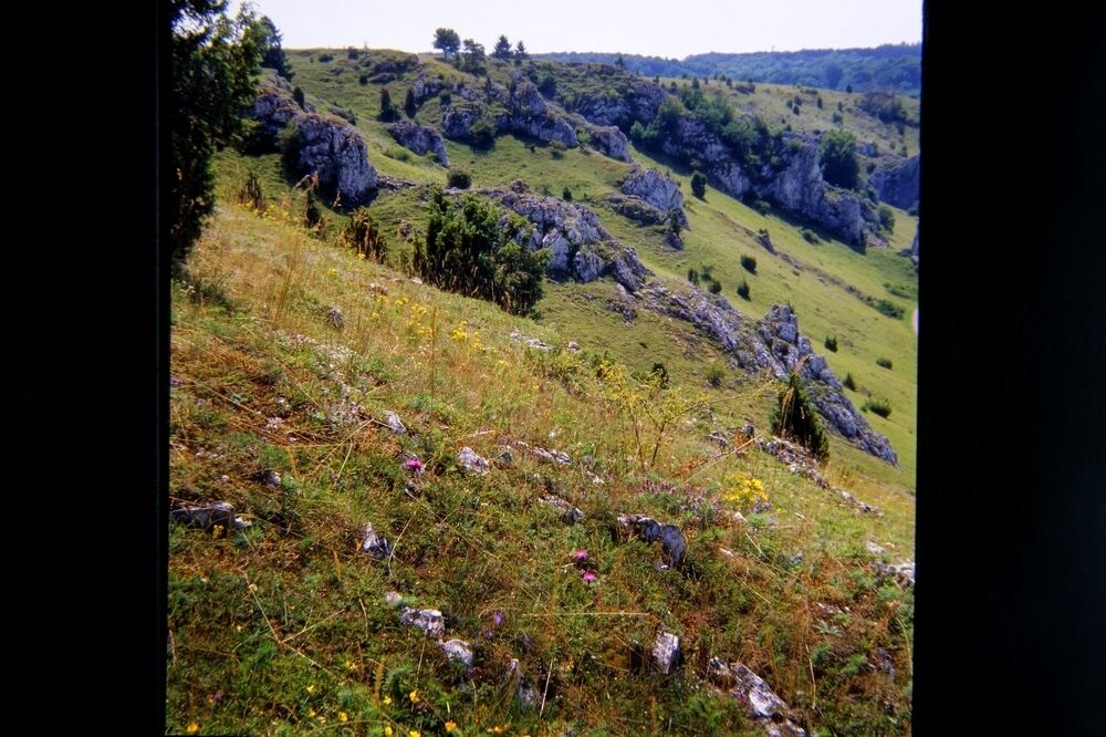 Foto von Joachim Feist aus dem Bildband Traumland Schwäbische Alb.