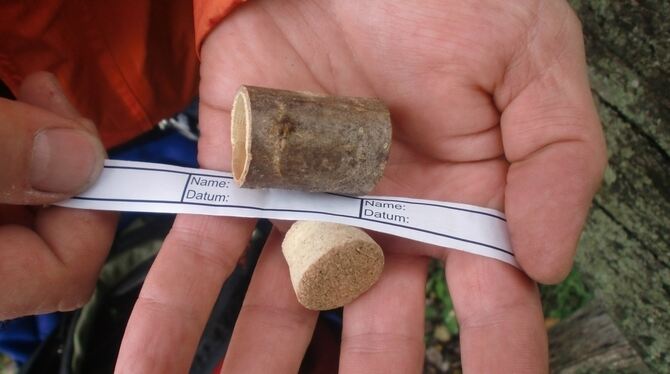 Bei kleineren Caches wird das Logbuch oft zusammengerollt. FOTO: KRONES Bei kleineren Caches wird das Logbuch oft zusammengerollt. FOTO: KRONES