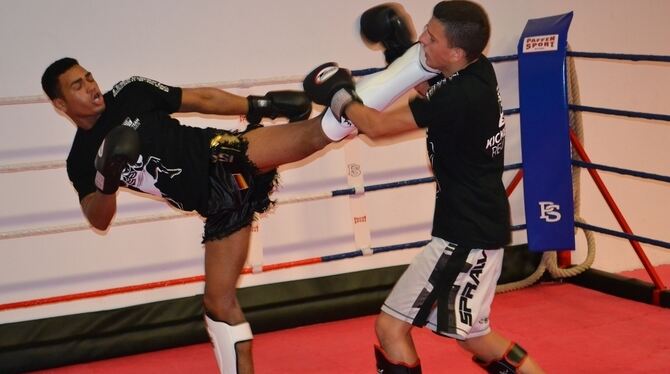 Sparring: Zwischen Dani Traore und Bledion Pireva geht es im Training heftig zur Sache. Sparring: Zwischen Dani Traore und Bledion Pireva geht es im Training heftig zur Sache.