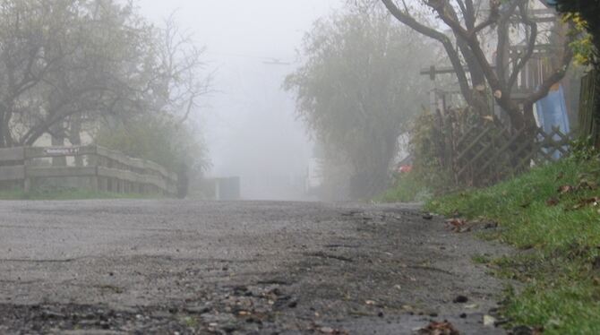 Eine Erschließung ist unnötig und teuer, sagen Anwohner: Der Zustand des Belags in der Sackgasse stört sie nicht. GEA-FOTOS: FÖR