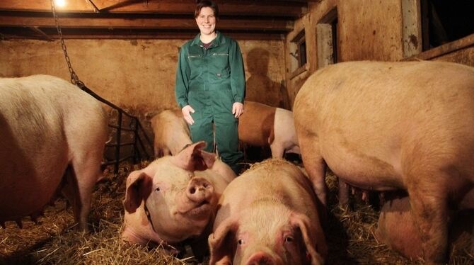 Den Schweinen von Katrin Glück ist Weihnachten egal. Hauptsache, es liegt etwas Feines zu Fressen im Trog.  FOTO: KOZJEK