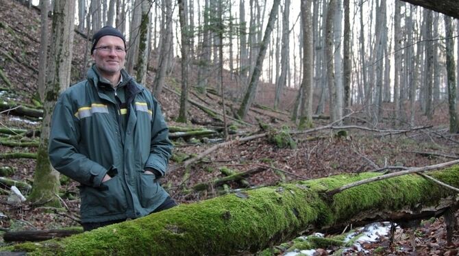 Ganz still steht der Wald: Förster Joachim Kern weiß, wo es zwischen winterlichen Bäumen kaum Geräusche aus der Umgebung gibt– i