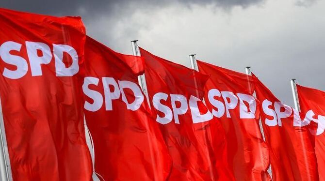 Dank des Mitgliederentscheids steht die SPD ungewohnt gut da. Foto: Michael Hanschke