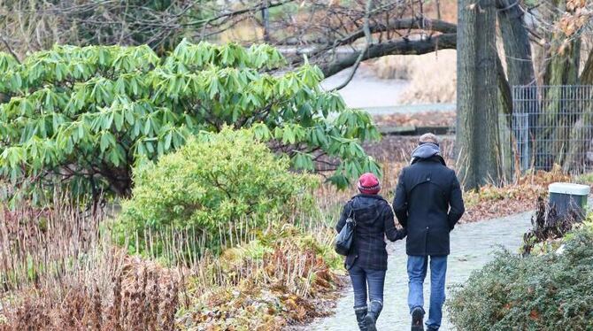 Kein Winterwetter: Spaziergänger im Park Planten un Blomen in Hamburg. Foto: Bodo Marks