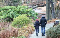 Kein Winterwetter: Spaziergänger im Park Planten un Blomen in Hamburg. Foto: Bodo Marks