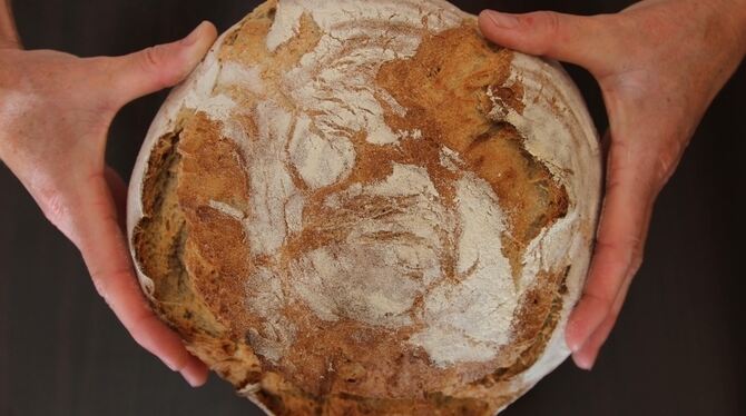 Frisches Brot aus dem Holzbackofen gilt vielen als Inbegriff des Gesunden und Ursprünglichen. Doch streiten die Experten darüber