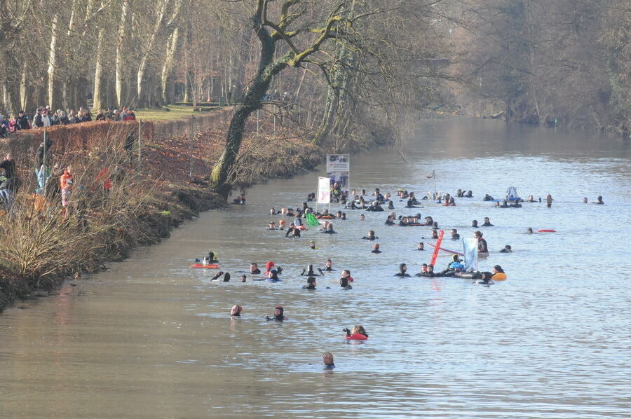 Neckarabschwimmen in Tübingen