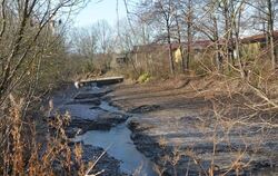 Das Wasser des Eierbachsees ist derzeit abgelassen. Der Gewässergrund »wintert« und wird im März ausgebaggert.  GEA-FOTO: SAUTTE