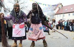 Jubiläumsumzug der Gomaringer Käsperle 2014