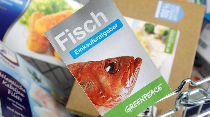 Greenpeace hat den neuen Einkaufsratgeber Speisefisch vorgestellt. Foto: Markus Scholz