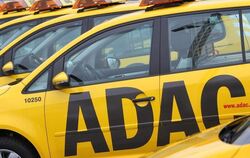 Der ADAC steht wegen eines Skandals um gefälschte Zahlen beim Autopreis "Gelber Engel" in der Kritik. Foto: Karl-Josef Hilden