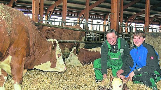 Die Fleckviehkuh Oryx ist eine der besten der Herde. Albert (links) und Peter Werner freuen sich über ihr soeben geborenes Kuhka