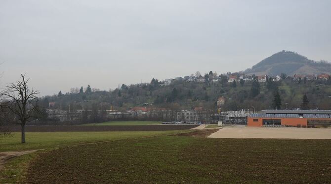 In unmittelbarer Nachbarschaft der Arbachtalhalle soll das geplante Sportvereinszentrum des VfL Pfullingen und des TSV Eningen entstehen.	GEA-FOTO: SAUTTER