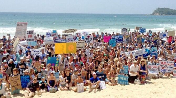 Menschen protestieren in Sydney gegen die Jagd auf Haie. Foto: Benny-Morrison