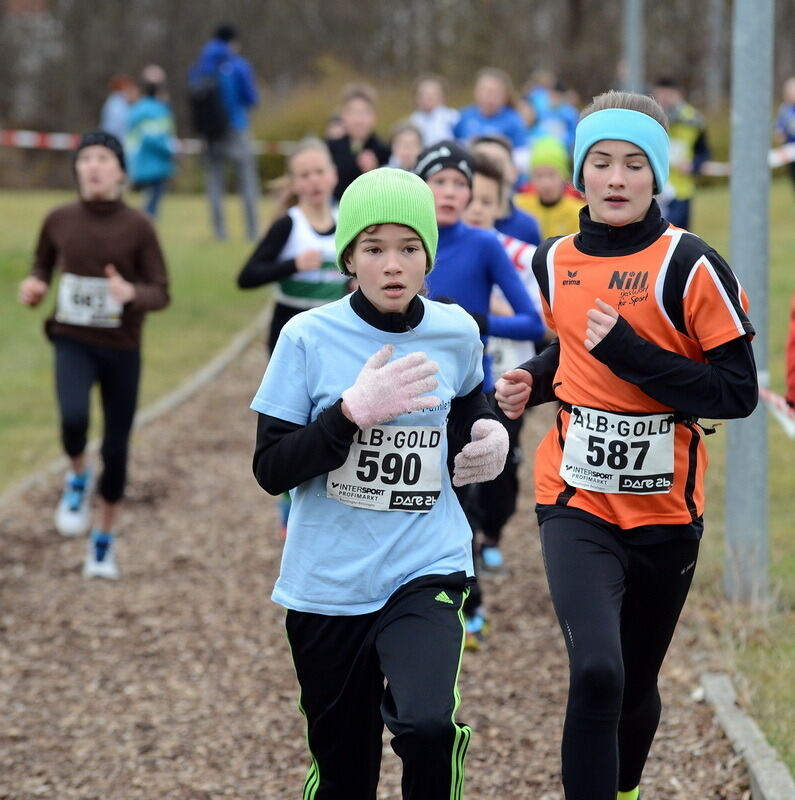 Alb-Gold-Winterlauf-Cup in Reutlingen 8. Februar 2014