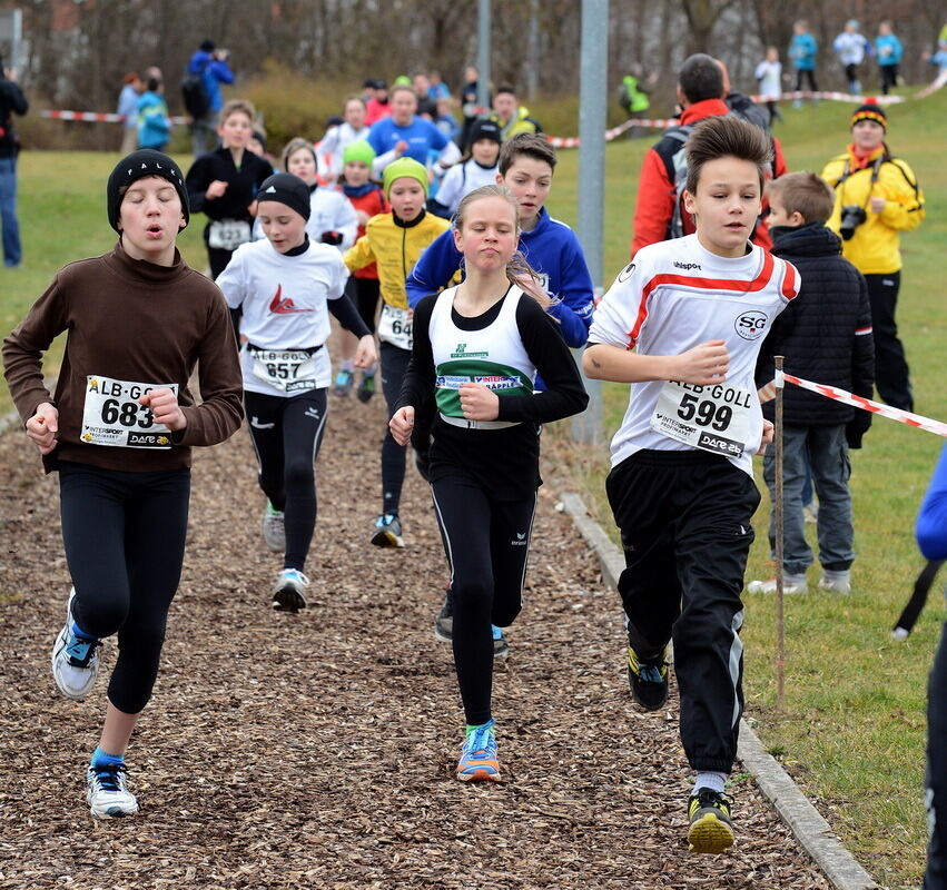 Alb-Gold-Winterlauf-Cup in Reutlingen 8. Februar 2014
