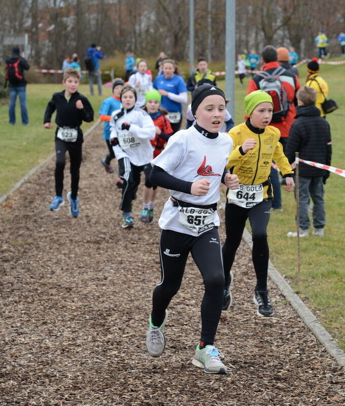 Alb-Gold-Winterlauf-Cup in Reutlingen 8. Februar 2014