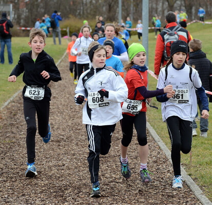 Alb-Gold-Winterlauf-Cup in Reutlingen 8. Februar 2014