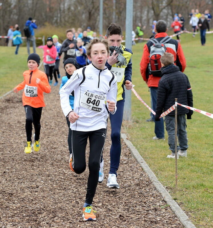 Alb-Gold-Winterlauf-Cup in Reutlingen 8. Februar 2014