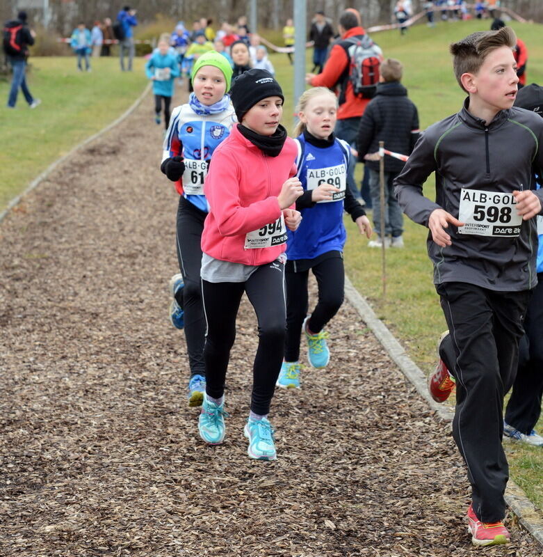 Alb-Gold-Winterlauf-Cup in Reutlingen 8. Februar 2014