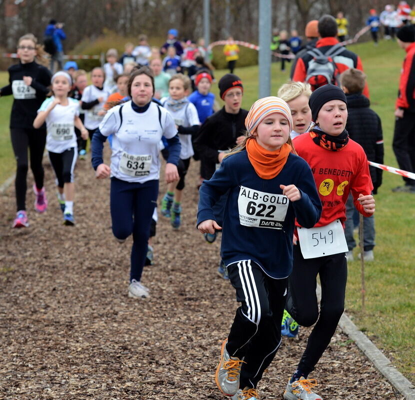 Alb-Gold-Winterlauf-Cup in Reutlingen 8. Februar 2014