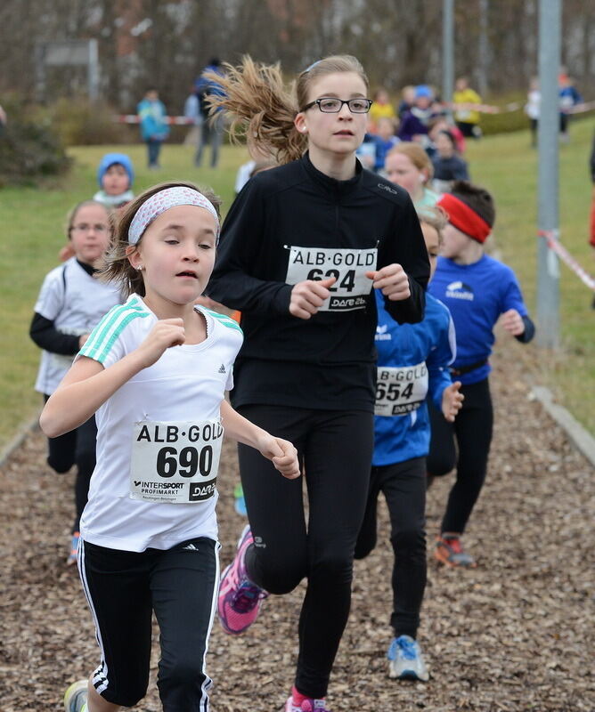 Alb-Gold-Winterlauf-Cup in Reutlingen 8. Februar 2014