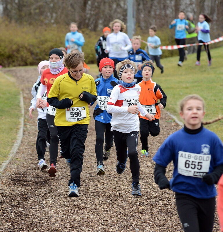 Alb-Gold-Winterlauf-Cup in Reutlingen 8. Februar 2014