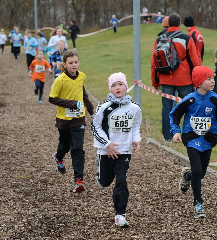 Alb-Gold-Winterlauf-Cup in Reutlingen 8. Februar 2014