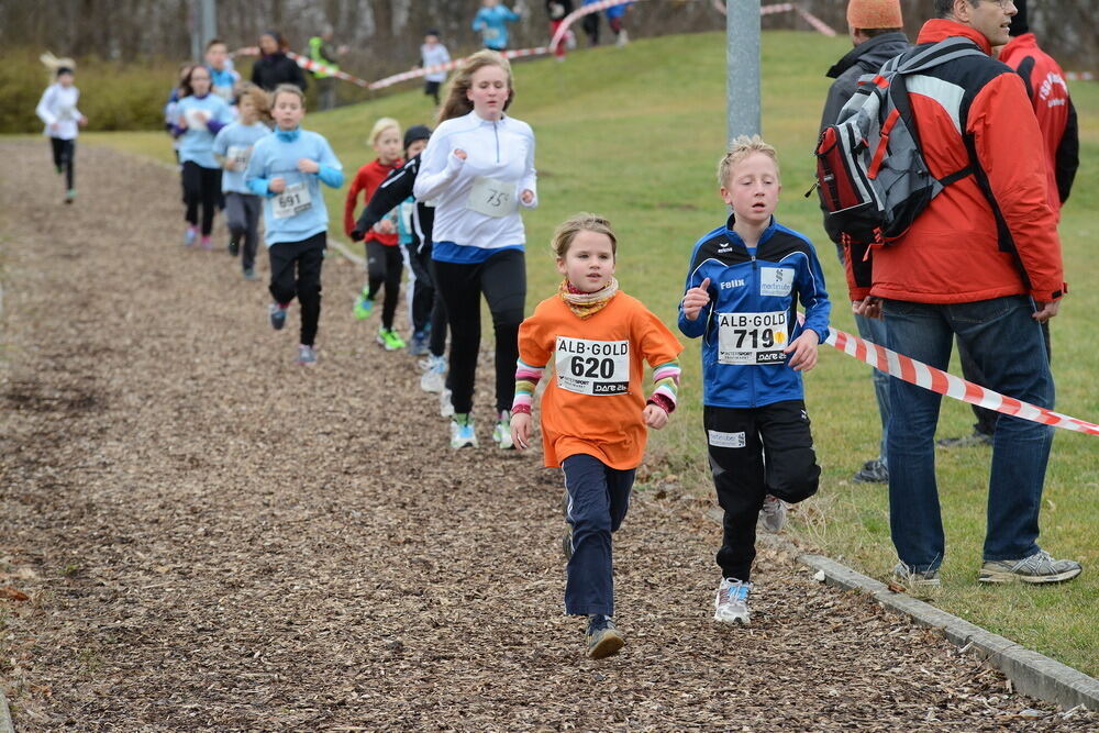 Alb-Gold-Winterlauf-Cup in Reutlingen 8. Februar 2014