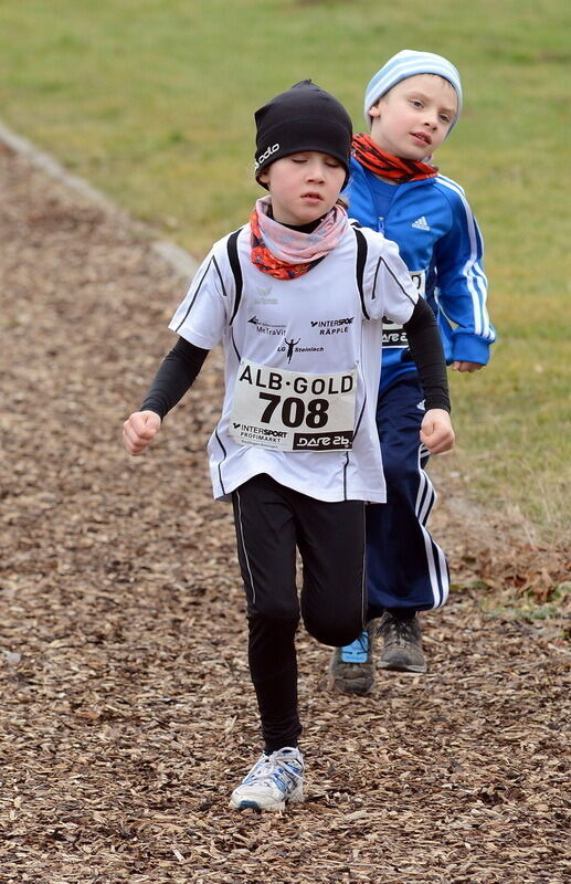 Alb-Gold-Winterlauf-Cup in Reutlingen 8. Februar 2014