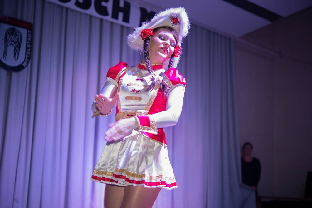 Fasching in Mittelstadt 2014