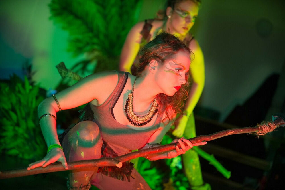 Fasching in Mittelstadt 2014