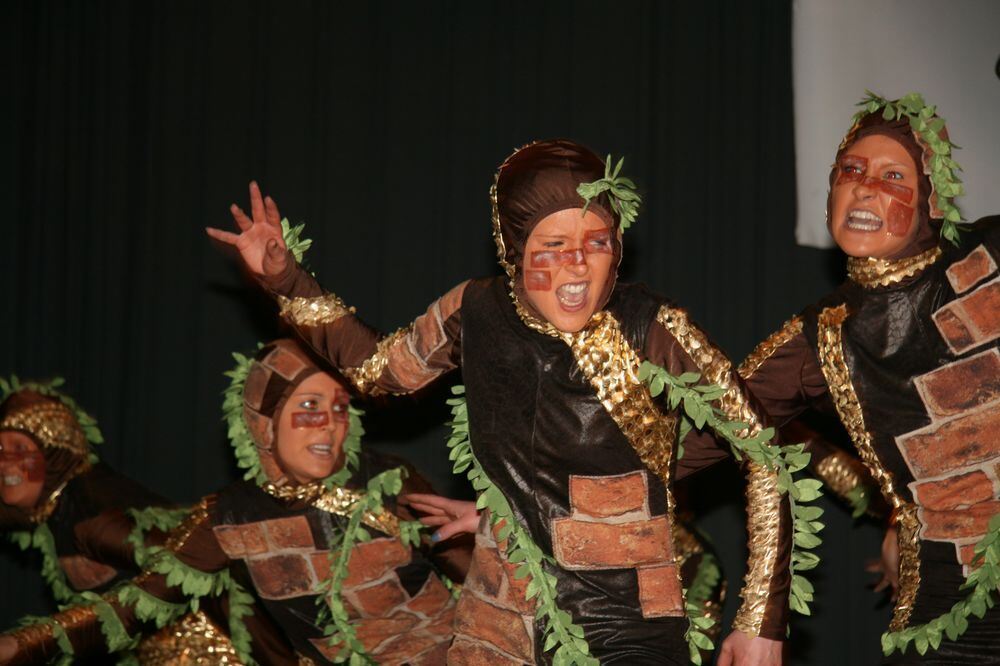 15. Preistanzen des Narrenvereins Trochtelfingen 2014