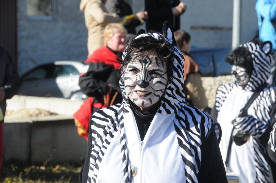 Narrenumzug in Oberstetten 23. Februar 2014